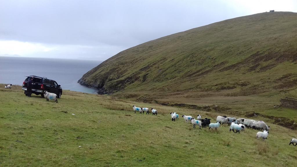 Bed and Breakfast Achill West Coast House Dooagh Exterior foto